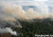 лесной пожар (2011) | Фото: Накануне.ru