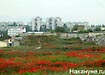 Фото: Накануне.ru