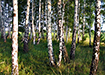 Фото: Накануне.RU