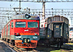 Фото: Накануне.RU