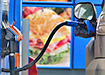 Фото: Накануне.RU