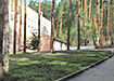 Фото: Накануне.RU