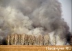 лесной пожар (2012) | Фото: Накануне.ru