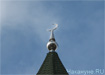 Фото: Накануне.RU