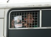 узник, пленник, арест, задержанный, автозак, митинг, Навальный (2013) | Фото: Накануне.RU