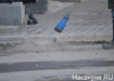 Фото: Накануне.RU
