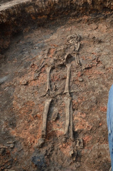 Аркаим, находка, кости|Фото:Министерство культуры Челябинской области