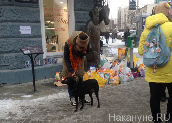 Екатеринбург, сбор подписей, митинг, пикет за ужесточение уголовной ответственности в отношении живодеров|Фото: Накануне.RU