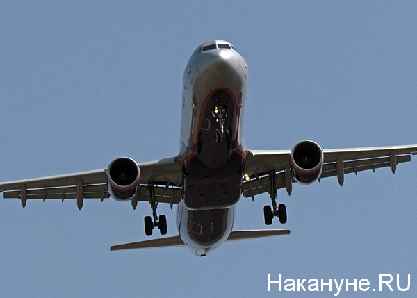 самолёт а-320 airbus авиакомпания аэрофлот(2016)|Фото: Накануне.ru