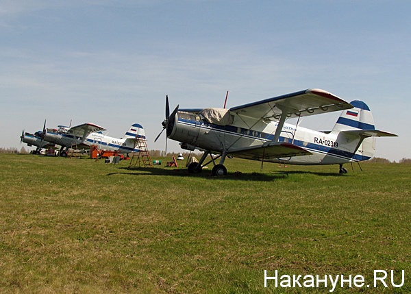 самолёт ан-2 авиакомпания аэроурал(2016)|Фото: Накануне.ru