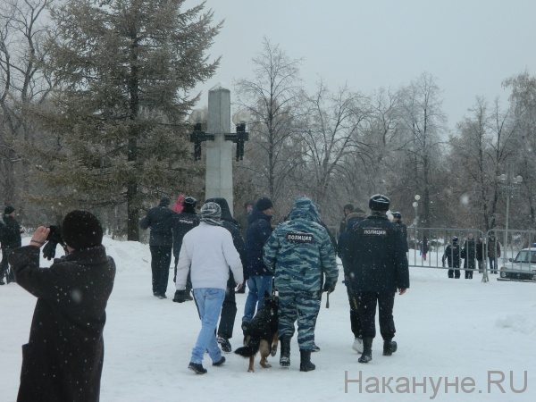Стоп-ГОК митинг Челябинск|Фото: Накануне.RU