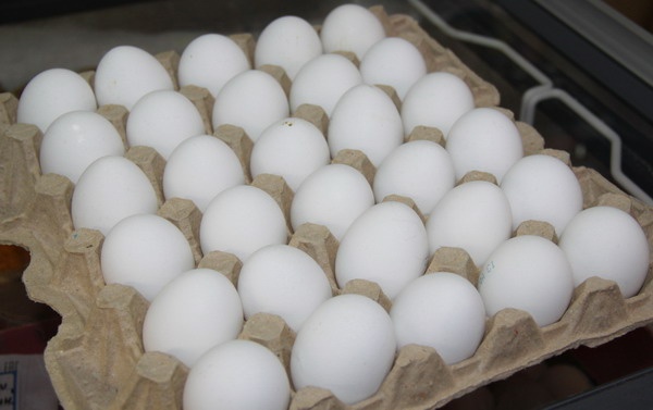 куриные яйца, УФССП, Курган|Фото:УФССП России по Курганской области