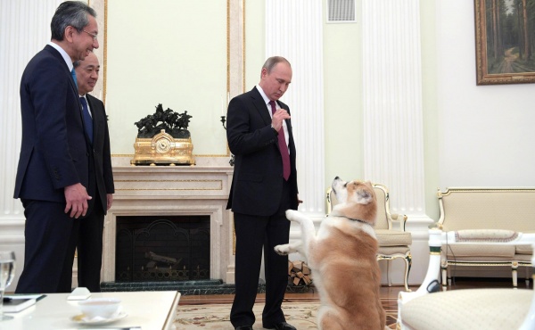 Владимир Путин японские журналисты и собака|Фото: пресс-служба президента РФ