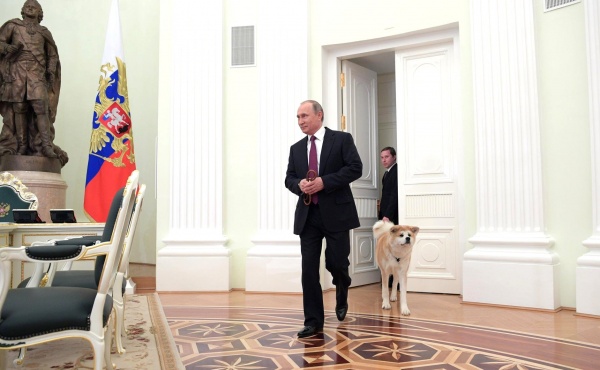 Владимир Путин и собака|Фото: пресс-служба президента РФ