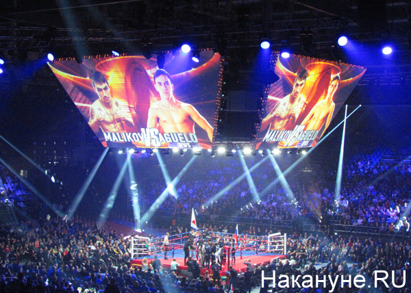 Маликов, Агуэло, бокс|Фото: Накануне.RU
