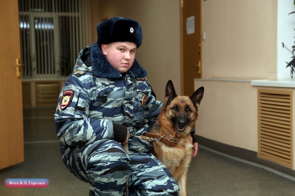 полиция собака овчарка кинолог|Фото: В.Н. Горелых