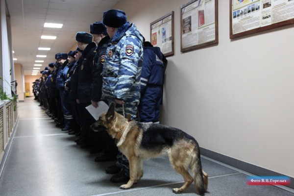 полиция полицейские МВД|Фото: В.Н. Горелых