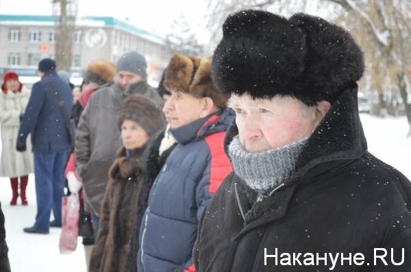 митинг, Шадринск, энерготарифы|Фото:Накануне.RU