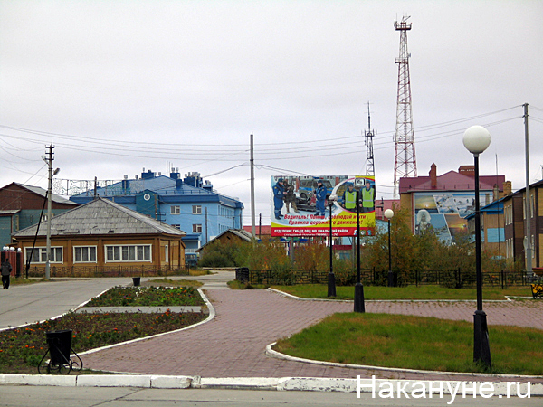 яр-сале | Фото: Накануне.ru