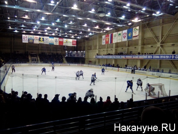 хоккей, Курган, Зауралье|Фото:Накануне.RU