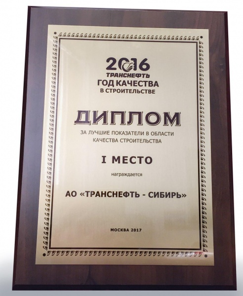 Награда, первенство, диплом, победа|Фото: АО "Транснефть - Сибирь"