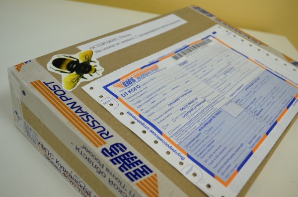 пчелы, посылка, почта|Фото:УФПС Курганской области