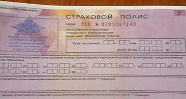 ОСАГО, полисы, подделка, полиция|Фото: ГУ МВД по Челябинской области
