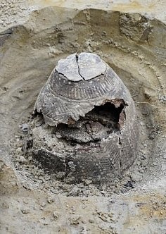Салехард-4, раскопки, захоронение бронзового века|Фото: правительство.янао.рф