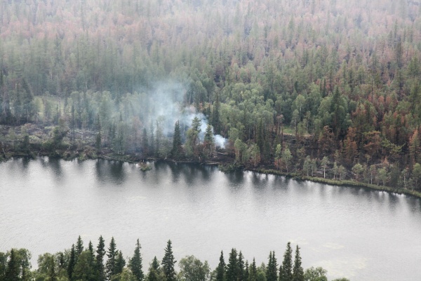 лесной  пожар|Фото: пресс-служба губернатора ЯНАО