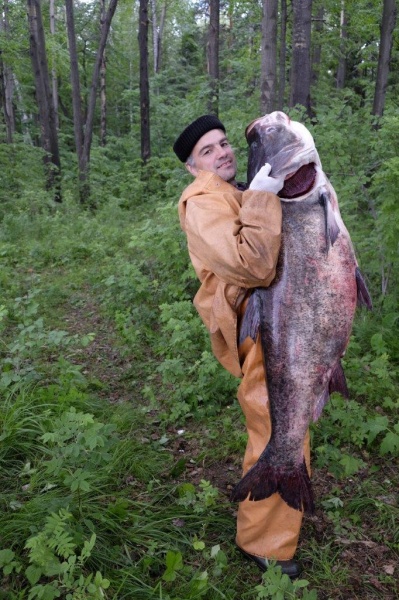 толстолобик самая крупная рыба Свердловской области|Фото: ДИП губернатора Свердловской области