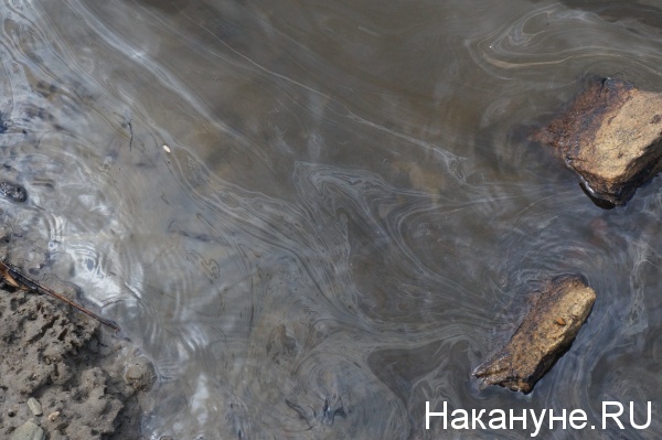 Екатеринбург, Исеть, маслянистая вода|Фото: Накануне.RU