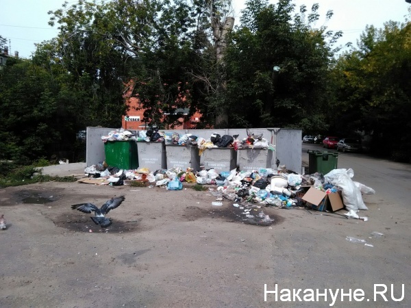 Курган, мусор, свалка|Фото:Накануне.RU