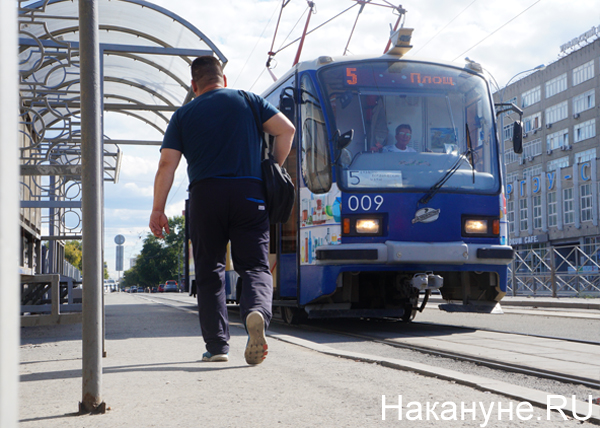 транспорт, общественный транспорт, трамвай(2017)|Фото: Накануне.RU