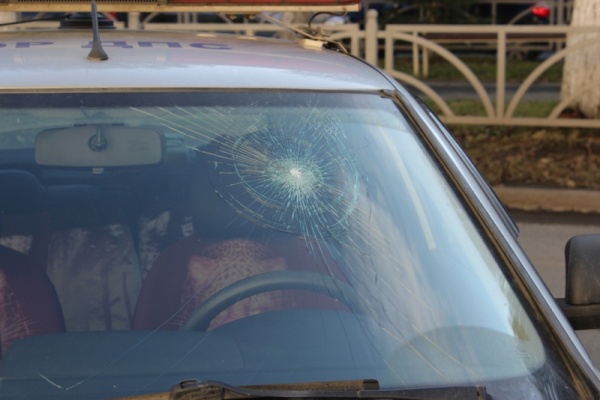 полицейский автомобиль, стекло, нападение|Фото: ГУ МВД по СО