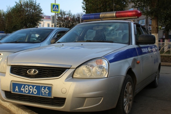 полицейский автомобиль, стекло, нападение|Фото: ГУ МВД по СО