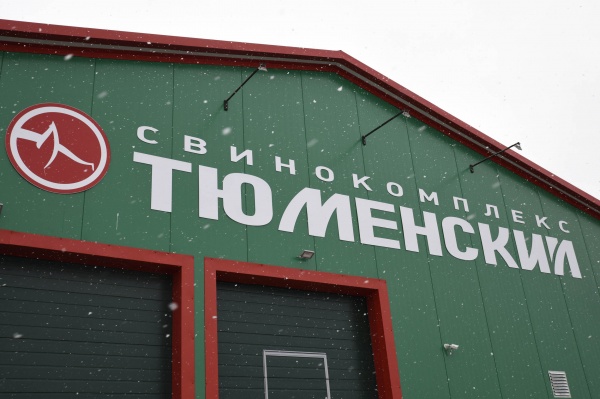 Открытие свинокомплекса Тюменский|Фото: admtyumen.ru