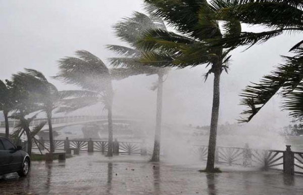 Тайфун|Фото: www.qnong.com.cn