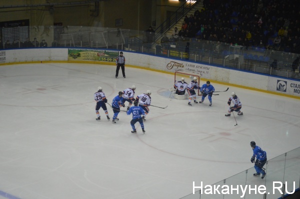 хоккей, Курган, Зауралье, СКА-Нева|Фото:Накануне.RU