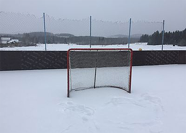 хоккейные ворота, корт(2018)|Фото: prokuratura.ur.ru