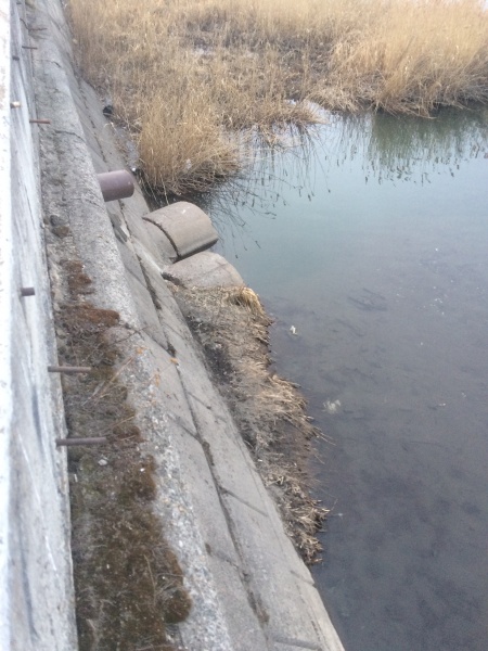 канализационный сток, река Миасс, Время Че,|Фото: Время Че
