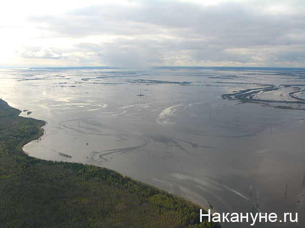 половодье паводок наводнение(2007)|Фото: Фото: Накануне.ru