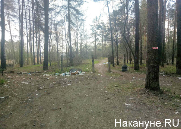 Шарташский лесопарк, Екатеринбург, мусор(2018)|Фото: Накануне.RU