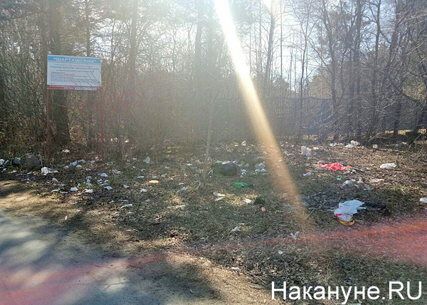 Шарташский лесопарк, Екатеринбург, мусор(2018)|Фото: Накануне.RU