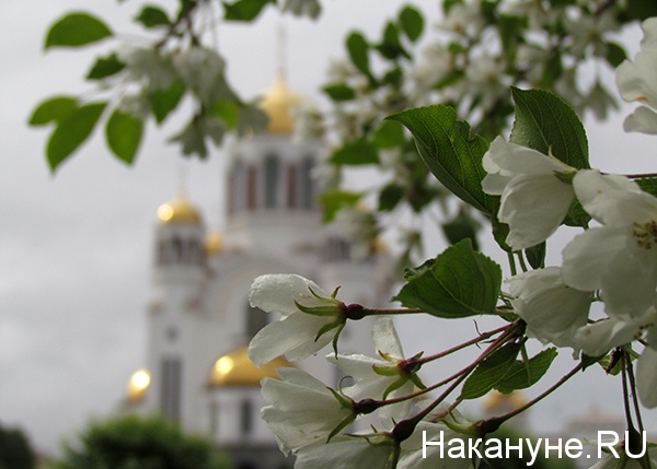 храм-на-крови | Фото: Накануне.ru