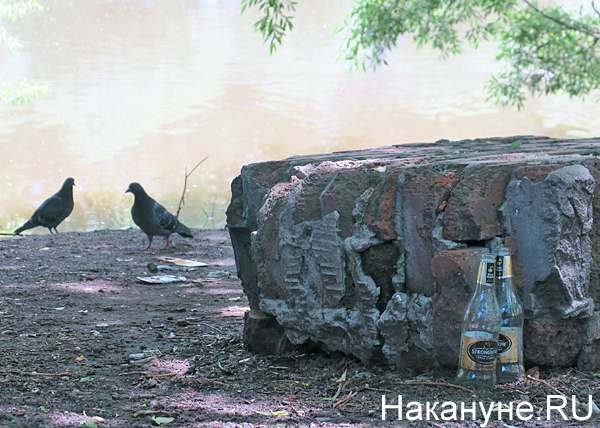 мусор, бутылки, Исеть(2018)|Фото: Накануне.RU