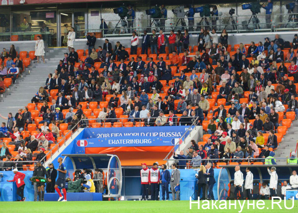 посещаемость стадиона, трибуны | Фото: Накануне.RU