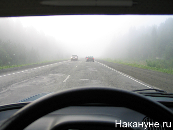 туман дорога(2007)|Фото: Фото: Накануне.ru