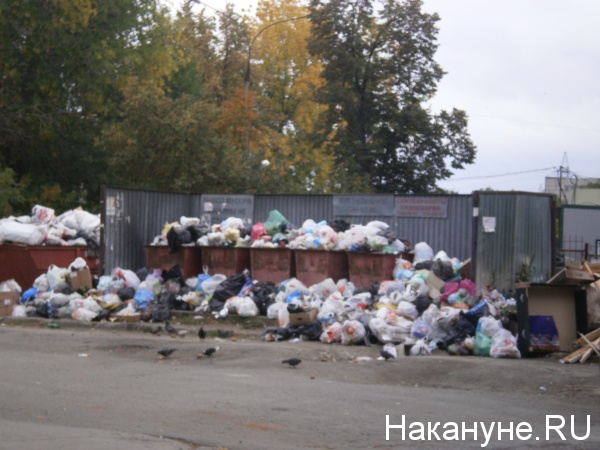 мусор, помойка(2018)|Фото: Накануне.RU