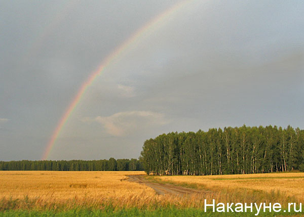 природа радуга поле(2007)|Фото: Накануне.ru