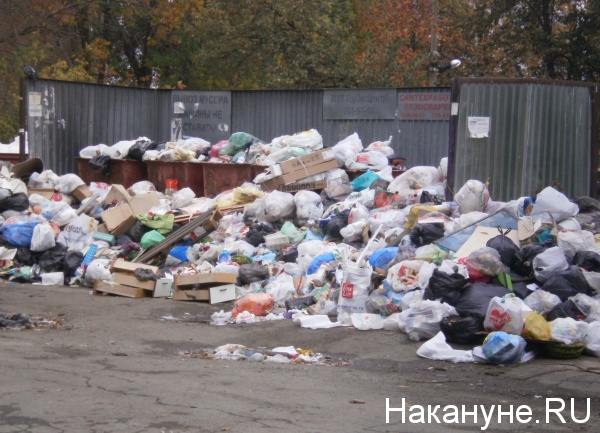 мусор, помойка, Челябинск(2018)|Фото: Накануне.RU